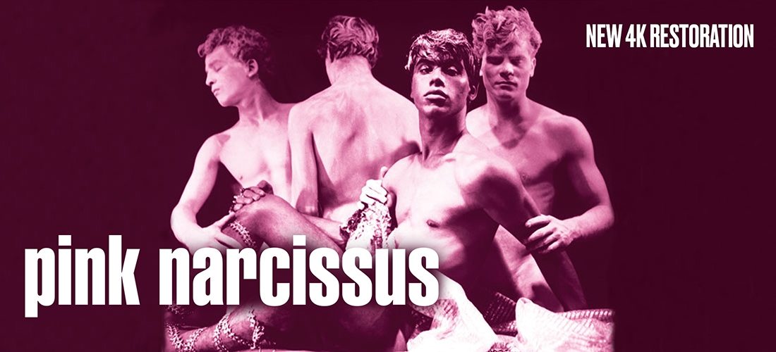 pinknarcissus_banner_1100x500